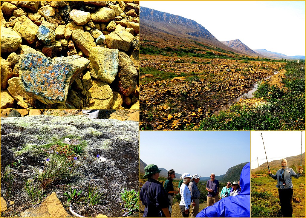 Photo Collage Gros Morne - Tablelands