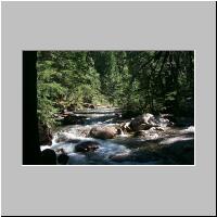 On the trail to Avalanche Lake