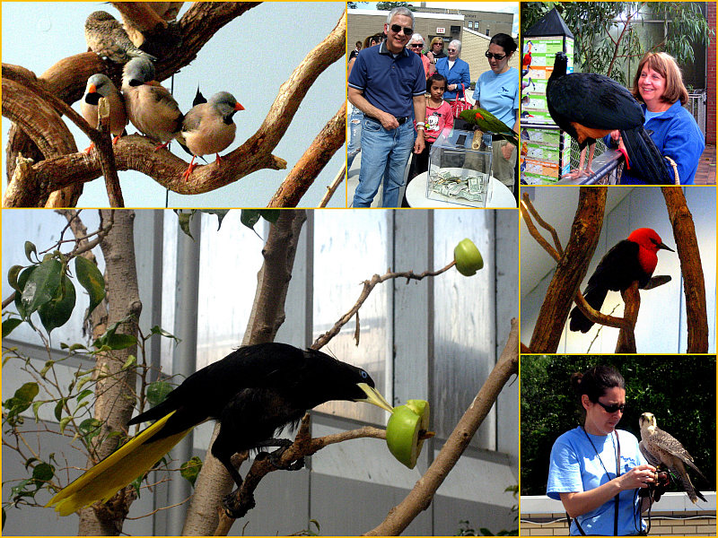 National Aviary, Pittsburg, Pa.