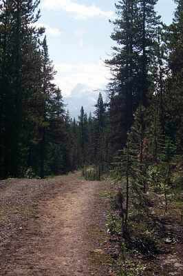  trail head To the bald hills 