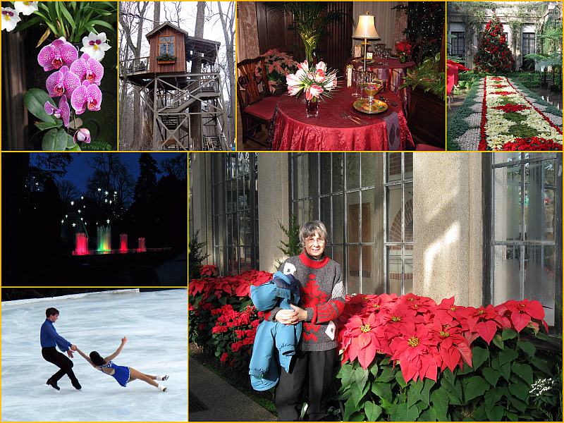 A Longwood Garden Christmas